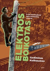 ELEKTROS BOIKOTAS IR KITI PASAKOJIMAI APIE SMETONINĘ LIETUVĄ. Ko bijojo, apie ką svajojo, dėl ko pyko ir liūdėjo mūsų proseneliai ELEKTROS BOIKOTAS IR KITI PASAKOJIMAI APIE SMETONINĘ LIETUVĄ. Ko bijojo, apie ką svajojo, dėl ko pyko ir liūdėjo mūsų proseneliai