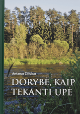 Dorybė, kaip tekanti upė