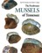 Freshwater Mussels of Tennessee
