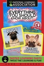 Everything You Should Know About