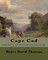 Cape Cod . By