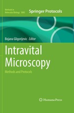 Intravital Microscopy