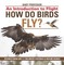 How Do Birds Fly? An Introduction to Flight - Science Book Age 7 | Children's Science & Nature Books