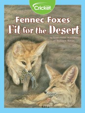 Fennec Foxes Fit for the Desert