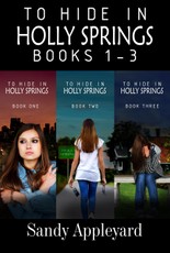 To Hide in Holly Springs Boxed Set