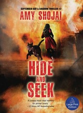 Hide And Seek