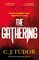 Tudor, C: Gathering