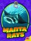 Manta Rays