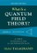 What Is a Quantum Field Theory?