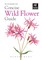 Concise Wild Flower Guide