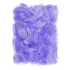 Plunksnos 5-12cm 10g, šv.violetinės