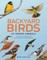 Backyard Birds of North America