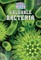 Valuable Bacteria