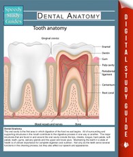 Dental Anatomy (Speedy Study Guides)