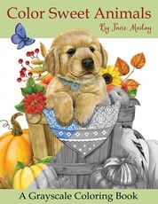 Color Sweet Animals