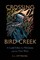 Crossing Bird Creek