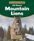 All about Mountain Lions