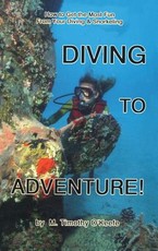Diving to Adventure!