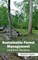 Sustainable Forest Management: Updated Reviews