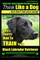 Black Labs, Black Labrador Retriever Training - Think Like a Dog But Don't Eat Your Poop! - Breed Expert Black Labrador Retriever Training -