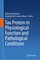 Tau Protein in Physiological Function and Pathological Conditions