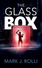 The Glass Box