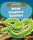 How Snakes Slither