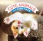 Cute Animals for Hard Times