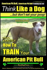 American Pit Bull, American Pit Bull Training AAA AKC