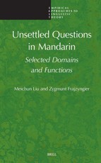 Unsettled Questions in Mandarin