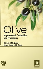 Olive