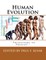 Human Evolution