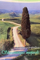 Skausmingas nuopuolis