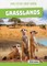 Grasslands