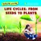 Life Cycles: From Seeds to Plants