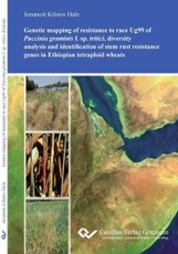 Genetic mapping of resistance to race Ug99 of Puccinia graminis f. sp. tritici, diversity analysis and identification of stem rust resistance genes in Ethiopian tetraploid wheats