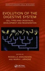 Evolution of the Digestive System