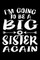 I'm Going To Be A Big Sister Again