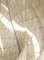 Embodied Light