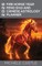 2026 Fire Horse Year