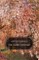 Cherry Orchard