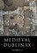 Medieval Dublin XX