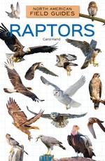 Raptors