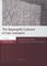 The Epigraphic Cultures of Late Antiquity