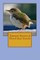 Tuntuni Stories & Hotel that Travels