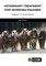 Veterinary Treatment for Working Equines