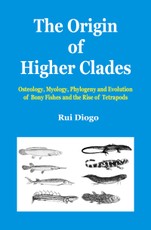 The Origin of Higher Clades