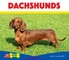 Dachshunds