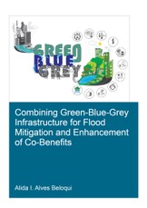 Combining Green-Blue-Grey Infrastructure for Flood Mitigation and Enhancement of Co-Benfits