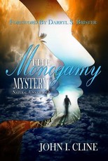 The Monogamy Mystery